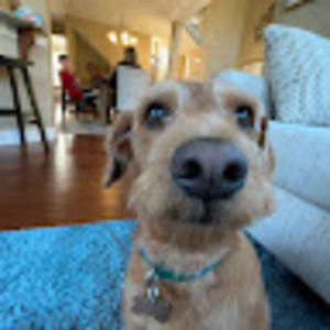 Meet your Posher, Molly